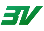 3V