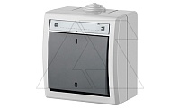 AQUANT - Выключатель двухполюсный, 10A/250V, ABS ,UV, IP55, корпус RAL7035/кнопка RAL7043 | код 1203-10 | Elektro-plast Nasielsk