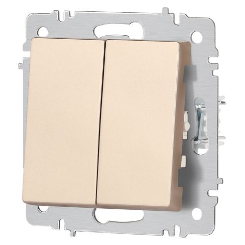 Выключатель Intro Accent 6-104-04 двойной, 10А-250В, IP20, СУ, AL/CU, шампань | код Б0063486 | ЭРА фото 5 Выключатель Intro Accent 6-104-04 двойной, 10А-250В, IP20, СУ, AL/CU, шампань | код Б0063486 | ЭРА фото 5