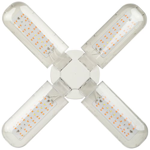 Фитолампа для растений светодиодная FITO-36W-RB-E27-FOLD 4-х лепестковая красно-синего спектра 36 Вт Е27 | код Б0053289 | ЭРА фото 7 Фитолампа для растений светодиодная FITO-36W-RB-E27-FOLD 4-х лепестковая красно-синего спектра 36 Вт Е27 | код Б0053289 | ЭРА фото 7