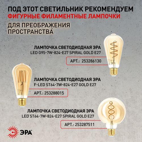 Светильник PL4 BK/BN Подвес металл, E27, max 60W, d203 мм, шагрень черный/темный никель | код Б0037439 | ЭРА фото 4 Светильник PL4 BK/BN Подвес металл, E27, max 60W, d203 мм, шагрень черный/темный никель | код Б0037439 | ЭРА фото 4