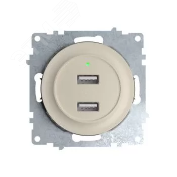 Розетка USB двойная, с подсветкой, цвет бежевый | код 2260090 | OneKeyElectro Розетка USB двойная, с подсветкой, цвет бежевый | код 2260090 | OneKeyElectro