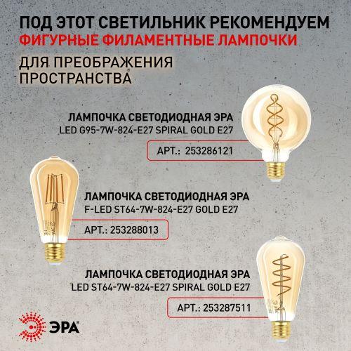 Светильник PL4 BK/BN Подвес металл, E27, max 60W, d203 мм, шагрень черный/темный никель | код Б0037439 | ЭРА фото 3 Светильник PL4 BK/BN Подвес металл, E27, max 60W, d203 мм, шагрень черный/темный никель | код Б0037439 | ЭРА фото 3
