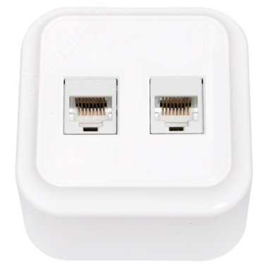 Беларусь розетка нар компьютерная 2-х местная РК216-005 | код РК216-005 | БелТИЗ