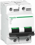 Выключатель автоматический двухполюсный C120N 80А C 10кА | код. A9N18361 | Schneider Electric 