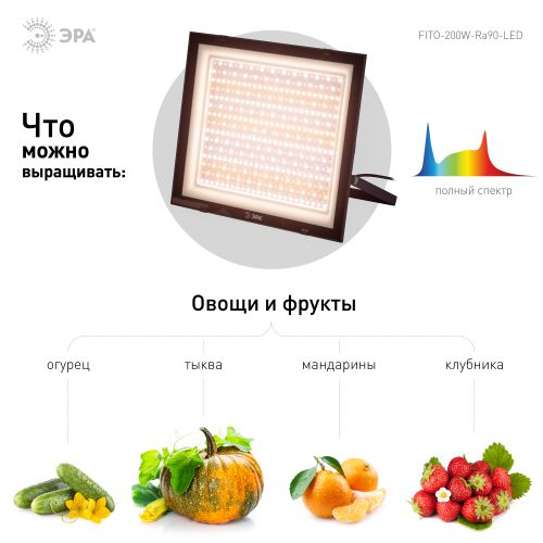 Фитопрожектор для растений светодиодный FITO-200W-Ra90-LED полного спектра, профессиональный 200 Вт | код Б0059879 | ЭРА Фитопрожектор для растений светодиодный FITO-200W-Ra90-LED полного спектра, профессиональный 200 Вт | код Б0059879 | ЭРА