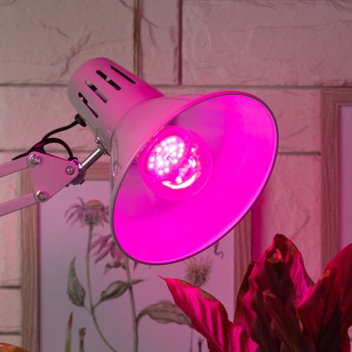 Лампа светодиодная лампа для рассады тип А60, 10 Вт, 220-240V FITO-10W-RB-E27-K | код Б0039069 | ЭРА фото 4 Лампа светодиодная лампа для рассады тип А60, 10 Вт, 220-240V FITO-10W-RB-E27-K | код Б0039069 | ЭРА фото 4