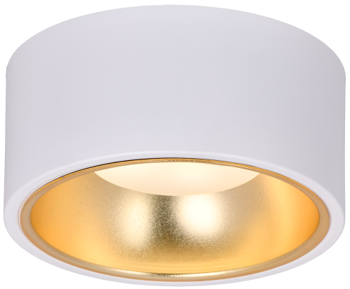 Светильник 4017 накл. потолочн. GX53 белый/золото IEK | код LT-UPB0-4017-GX53-1-K55 | IEK фото 2 Светильник 4017 накл. потолочн. GX53 белый/золото IEK | код LT-UPB0-4017-GX53-1-K55 | IEK фото 2