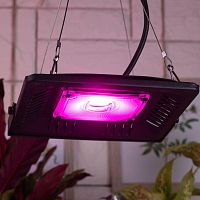 Прожектор для растений FITO-50W-LED BLUERED 50Вт IP65 220-240В -30град. до + 45град. 30000ч | код Б0039033 | Эра