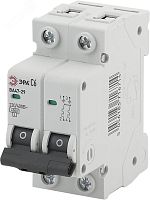 Автоматический выключатель NO-902-114 ВА47-29 2P 40А кривая C (6/90/1890) | код Б0031936 | ЭРА