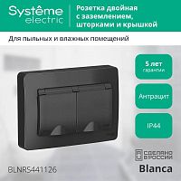 Розетка двухместная BLANCA, скрытый монтаж, с заземлением, с крышкой, со шторками | код. BLNRS441126 | Schneider Electric