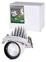 Светильник встраиваемый поворотный Акцент-1 LED DSL-01-030-WW 30 Вт, 24°, 3000 К, 90 Ra, IP40, TDM | код SQ0369-0401 | TDM