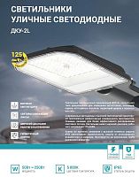Светильник уличный линзованный светодиодный ДКУ-2L 200Вт 230В 5000К 25000Лм 125лм/Вт 48-70мм IP65 NEOX | код 4690612057699 | NEOX