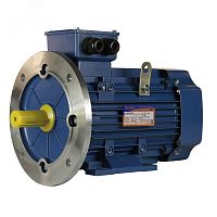 Электродвигатель 5АИ 100 L6 2.2/1000 IM 2081 | код 01.01.213620 | Элком