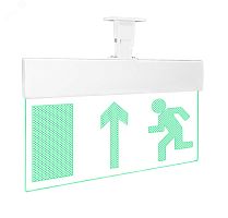Оповещатель световой с резервным источником питания Молния-220 Ультра Человек влево стрелка вверх в дверь зеленые светодиоды | код Молния Ультра 220 ЧелВлСтрДв | Вистл