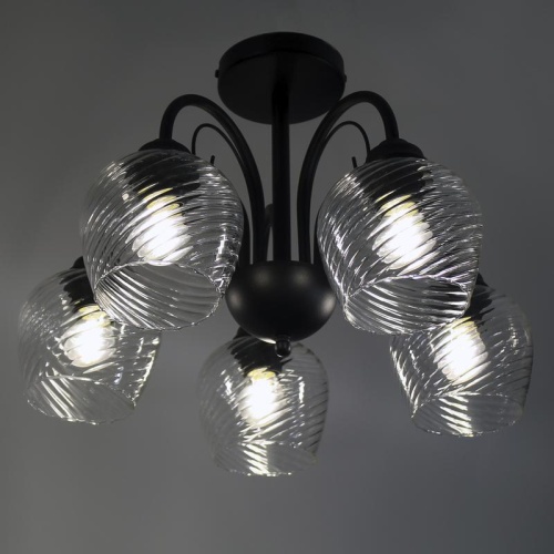 Светильник Берта 151 черн.муар (Плафон 8270) НСБ 01-5х60-132 Е27 ИУ | код 1005404647 | Элетех фото 6 Светильник Берта 151 черн.муар (Плафон 8270) НСБ 01-5х60-132 Е27 ИУ | код 1005404647 | Элетех фото 6
