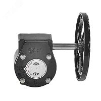 Редуктор для затвора Ду 40-80 | код 107-7901 | Benarmo