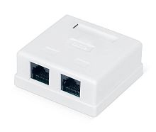 Розетка компьютерная 2-м ОП WR-WS-8P8C-C5E-2 RJ45 кат.5E неэкранир. Dual IDC бел. | код 505216 | WRline