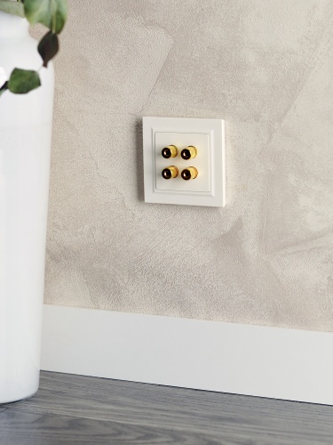 BRITE Аудиорозетка 4-мест. РА10-БрЖ жемч. IEK | код BR-S40-K36 | IEK фото 6 BRITE Аудиорозетка 4-мест. РА10-БрЖ жемч. IEK | код BR-S40-K36 | IEK фото 6