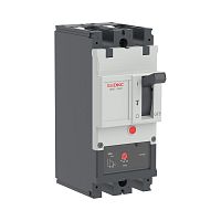 Авт. выкл. YON pro MNX250M 2P 250A 100kA при AC415V расц. TMD | код MNX250M2PTMD0250 | DKC