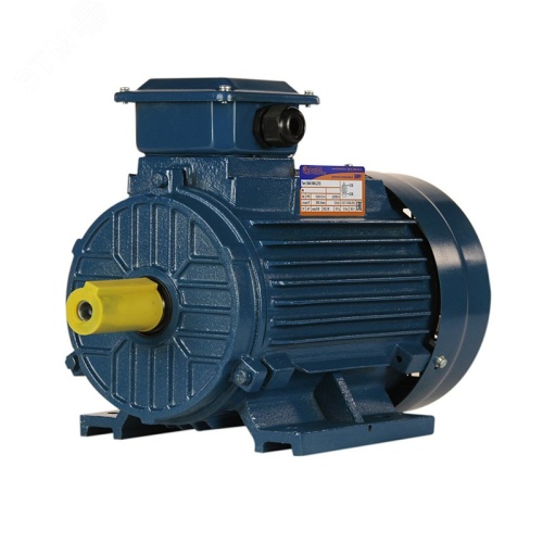 Электродвигатель 5АИ 100 L2 5.5/3000 IM 1081 | код 01.01.213567 | Элком