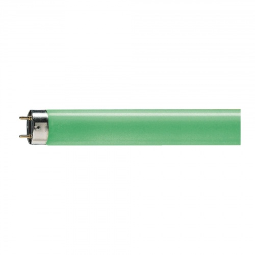 Лампа люминесцентная линейная (ЛЛ) TL-D 36Вт /17 Green SLV/25 зеленая PHILIPS | код 871150064300140 | PHILIPS