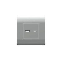 (NEW3-E) Розетка USB A+С, 5В/2,1А, серебряный | код 431451 | CHINT