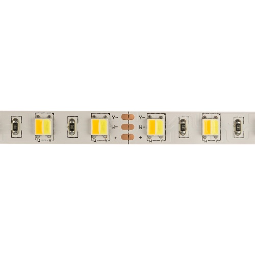 LED лента White Mix, 12 В, 12 мм, IP23, SMD 5050, 60 LED/m, цвет свечения белый (6000 К) + цвет свечения теплый белый (3000 К) | код 141-242 | LAMPER