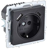 Розетка BRITE РЮш11-1-БрЧ 16А с USB A+C 18Вт с заземл. защ. шторки черн. | код. BR-R14-16-U22-018-K02 | IEK