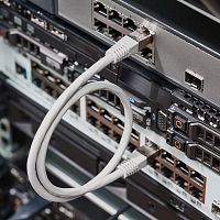 Патч-корд FTP категория 6 LSZH, длина 0,5 метра, экранированный, серый | Код. 18-8101-1 | Rexant