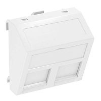 Корпус компьютерной розетки Modul 45 DTS-2RM RW1 OBO | код 6119298 | OBO Bettermann