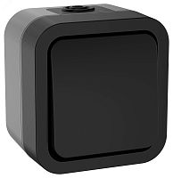 Переключатель 1-кл. ОП TORS 10А IP55 TS101 графит | код TS-V10-0-10-55-K53 | IEK