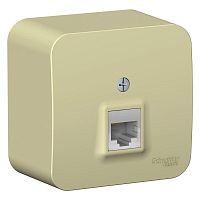 Розетка компьютерная 1-м ОП BLANCA RJ45 кат.5e изол. пласт. беж. | код. BLNIA045007 | Schneider Electric