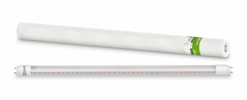 Лампа светодиодная LED-T8-ФИТО 10Вт 230В G13 600мм IN HOME | код 4690612033761 | IN HOME