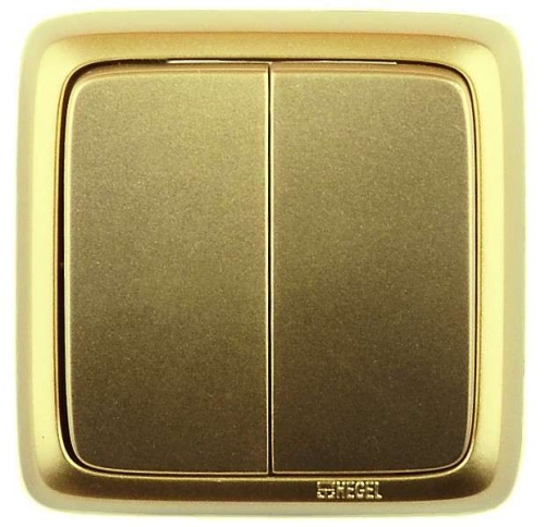 Выключатель двухклавишный наружный с изоляционной пластиной золото 16А | код ВА16-153-07 | HEGEL Выключатель двухклавишный наружный с изоляционной пластиной золото 16А | код ВА16-153-07 | HEGEL