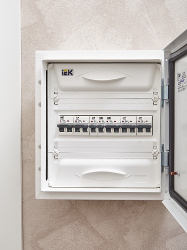 ARMAT Автоматический выключатель M06N 1P D 50А | код AR-M06N-1-D050 | IEK фото 10 ARMAT Автоматический выключатель M06N 1P D 50А | код AR-M06N-1-D050 | IEK фото 10