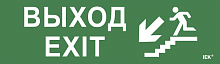 Этикетка самокл. 310х90мм Выход/лест. вниз/фигура IEK | код LPC10-1-31-09-VLVNF | IEK