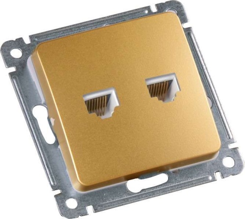 MASTER Розетка компьютеная и телефонная скрытой установки, в рамку, золото | код РСКТ-440-07 | HEGEL