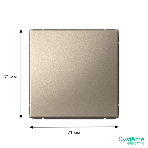 ARTGALLERY 1-клавишный ВЫКЛЮЧАТЕЛЬ КНОПОЧНЫЙ, механизм, быстрозажимные клеммы, ШАМПАНЬ | код GAL000515S | Systeme Electric фото 2 ARTGALLERY 1-клавишный ВЫКЛЮЧАТЕЛЬ КНОПОЧНЫЙ, механизм, быстрозажимные клеммы, ШАМПАНЬ | код GAL000515S | Systeme Electric фото 2