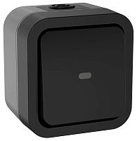 Переключатель одноклавишный с индикацией TORS 10А IP55 графит | код TS-V10-1-10-55-K53 | IEK