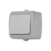 Выключатель Intro Atlantic 5-102-03 с подсветкой, 10А-250В, IP54, открытой установки, серый | код Б0050941 | ЭРА
