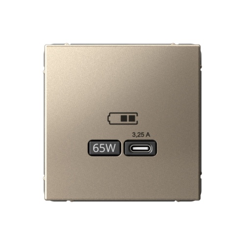 ARTGALLERY USB РОЗЕТКА тип-С 65Вт высокоскор.заряд. QC, PD, механизм, ШАМПАНЬ | код GAL000527 | Systeme Electric