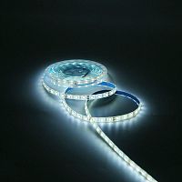 Лента светодиодная LED 5050/60-SMD 10 Вт/м 700 лм/м 4000К DC 12В IP65 10мм (блистер 5м) Basic Gauss | код BT053 | Gauss