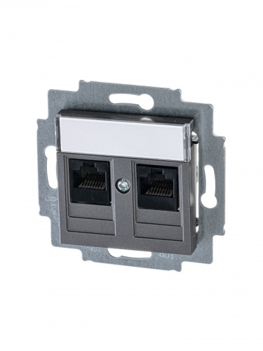 Розетка информационная ABB Levit двойная 2хRJ45 категория 5e сталь 5014H-A51018 69W | код 2CHH295118A6069 | ABB