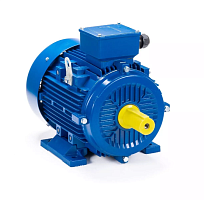 Электродвигатель 200 LB6-SDN- IM B3 22/1000 Китай (ESQ) | код 01.05.221627 | ESQ