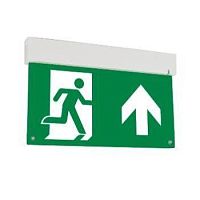 Световой указатель ''Flip Basic 3W IP20 1.5ч | код V1-R0-70617-02A02-2000365 | Вартон