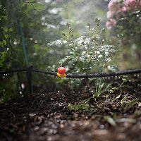 Комплект для капельного полива площади 4х5м Профи ЧЕТЫРЕ СЕЗОНА 62-0313-F