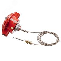 Извещатель тепловой взрывозащищенный высокотемпературный ИП101-07вт-А1, без кабельных вводов | код ER001000002561-0000 | Эридан