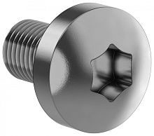 FORMAT Винт М6х10 TORX30 DIN7500C IEK | код FO-00D-VTORX-M6X10-050 | IEK