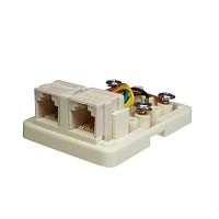 Розетка компьютерная 6P4C (RJ-11) 2 порта SUPRLAN 10-0306